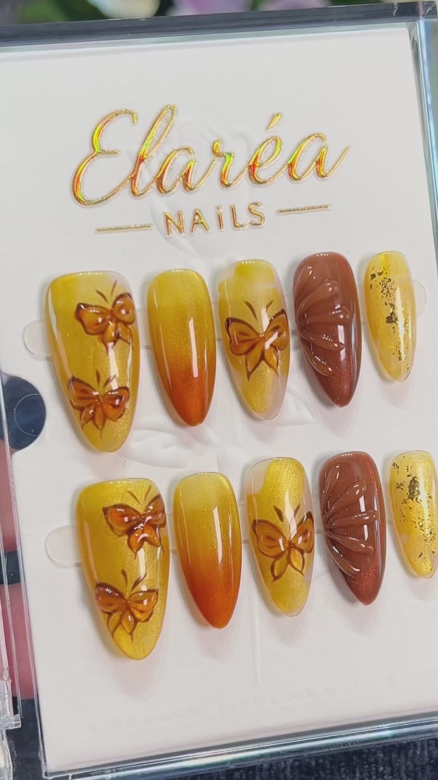 AMBER WINGS product video 1